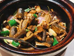 -侨美食家·粤菜(体育西路店)