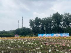 -中国农业博物馆