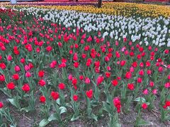 -长春公园(普阳街道)