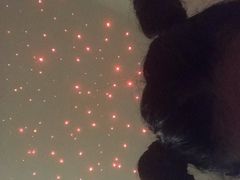 -中家鑫园温泉酒店鑫悦汤泉