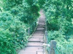 -青城山
