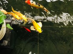 -天津海河悦榕庄·Lobby Lounge大堂吧