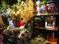-范设计花园餐酒咖·中西餐·咖啡厅·酒馆