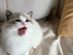 -鸡毛店·川菜(李家沱店)