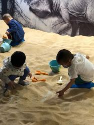 -恐龙探索乐园(磁器口店)