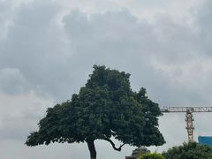 -红花山公园