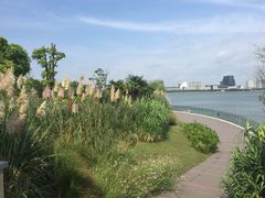 滴水湖皇冠假日酒店-上海滴水湖皇冠假日酒店