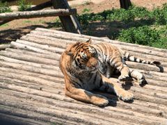 -大连森林动物园