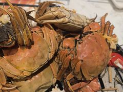 -半岛听涛蒸汽海鲜自助(K11店)