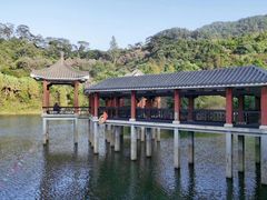 -水濂山森林公园