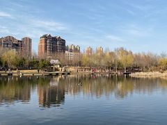 -前关湿地公园