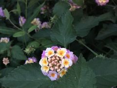 -南紀白浜 浜千鳥の湯 海舟