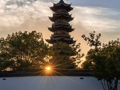 -龙华素斋(龙华路店)