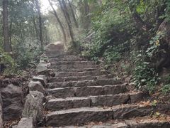 -大岭沟猕猴桃谷风景区