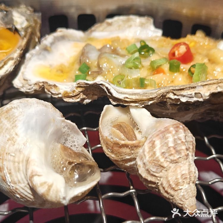 海洋动物爱好者从一口生蚝海螺开始！  