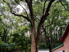 -马王堆汉墓遗址