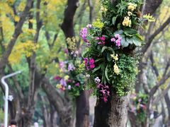 -人民公园(罗湖区)