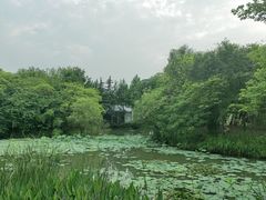 -西溪国家湿地公园