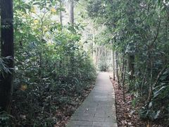 -姑婆山旅游区