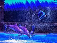 -波塞冬旅游度假区