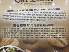 -巴厘岛黄金金兔咖啡工厂