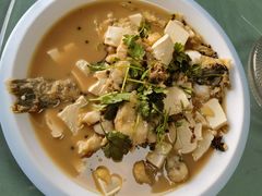 -煲来饱去冷水鱼