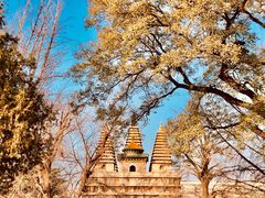 -北京石刻艺术博物馆(五塔寺)