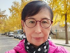 -三里屯东五街银杏大道