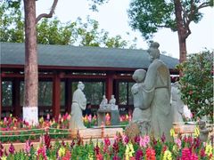 -仙岳公园