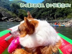 -安吉龙王山峡谷漂流