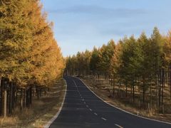 -塞罕坝国家级自然保护区