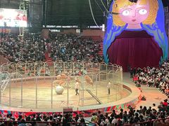 -俄罗斯国家大马戏团