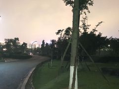 -河泥荡文化公园