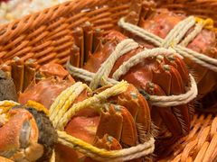 -蟹村草堂·苏式园林人文农家·大闸蟹