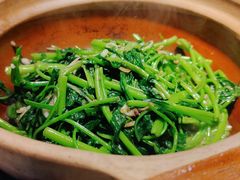 -熠盛粤味·顺德桑拿鸡(永康路店)