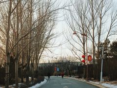 -长春公园(普阳街道)