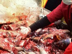 -嘉荟市场(北新泾店)