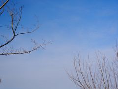 -鹦鹉洲湿地公园