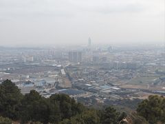 -梅园