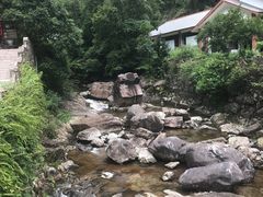 -花岩国家森林公园