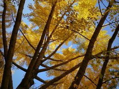 -北京动物园-畅观楼