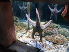 -苏州海洋馆