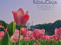 -无锡梅园公园