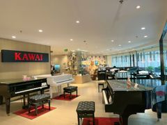 -柏斯音乐艺术中心·钢琴·吉他(上音店)