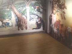 -苏州5D星空错觉艺术馆