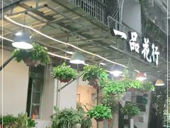 -溪岸路花鸟市场