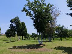 -盘龙城国家考古遗址公园