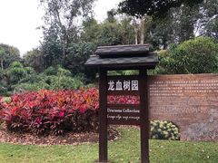 -中国科学院西双版纳热带植物园