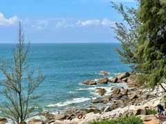 -广东惠东海龟国家级自然保护区