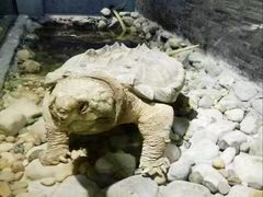 -大明湖海底世界